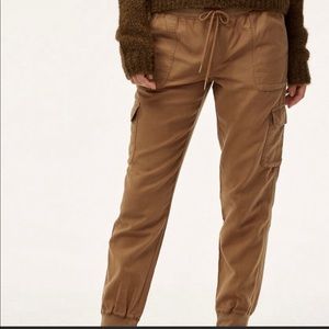 Aritzia Community Cargo Pants